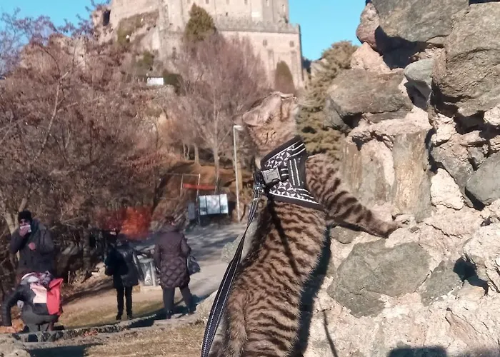 Casa Del Rustico, Indipendente Vista Sacra Con Dipinto Villa Caprie